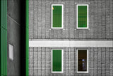 Neighbors green.! Poster och Canvastavla