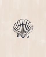 Seashell Poster och Canvastavla