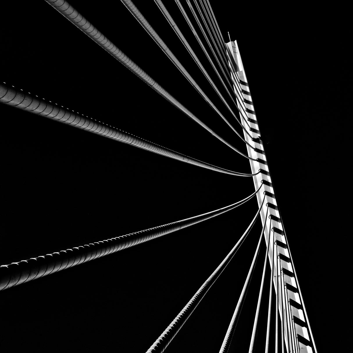 Calatrava Bridge 01 Poster och Canvastavla