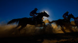 Horse Racing Through The Dust Poster och Canvastavla