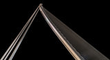 the harp Poster och Canvastavla