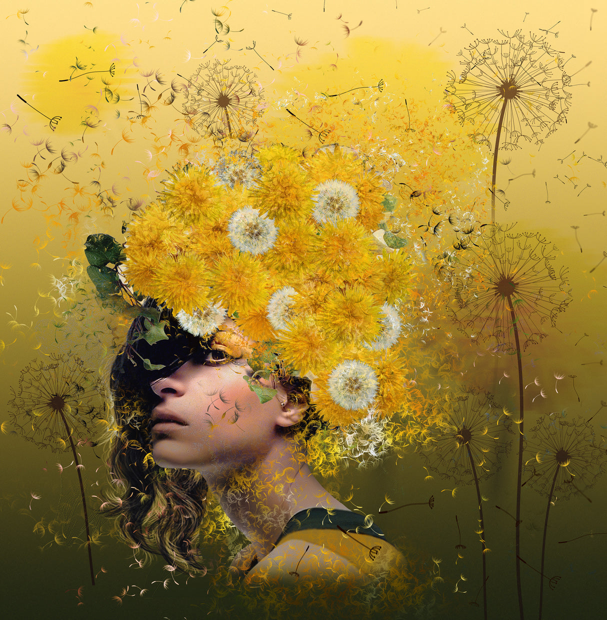 Dandelions Poster och Canvastavla