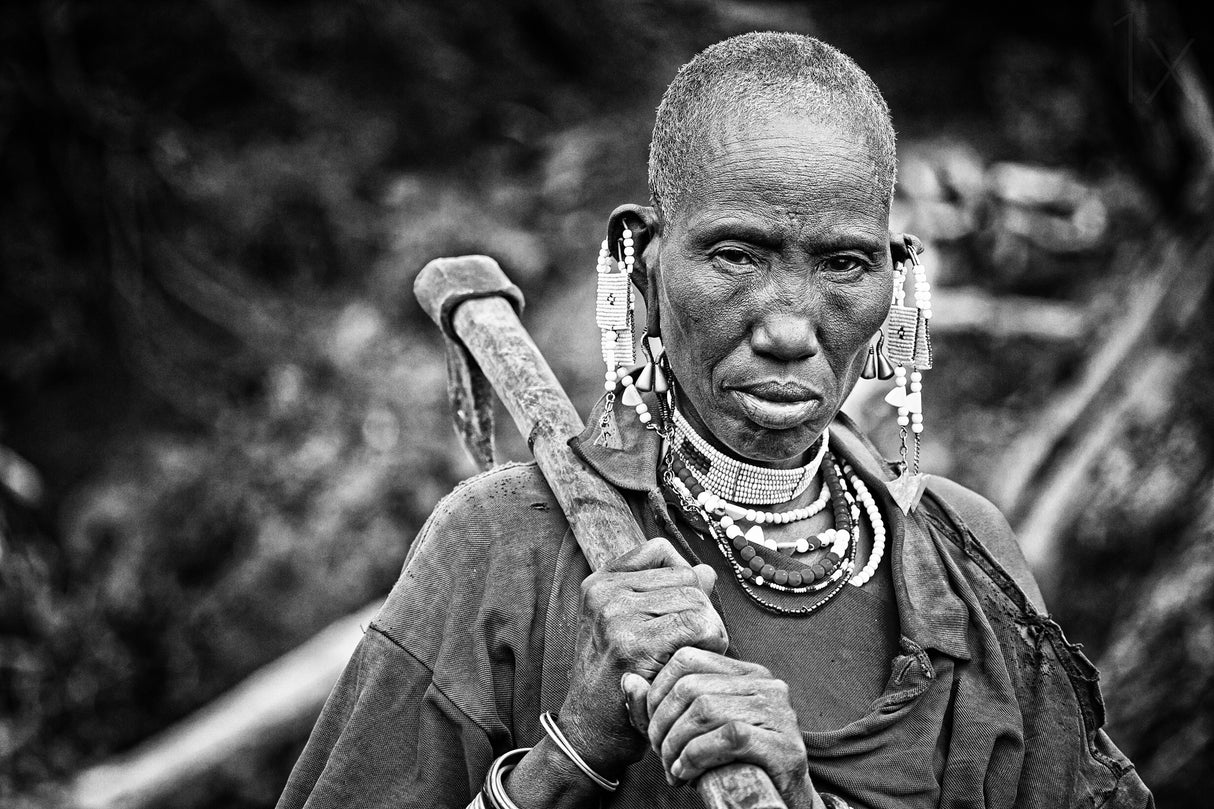 Forest Lady in Acacia Valley Poster och Canvastavla