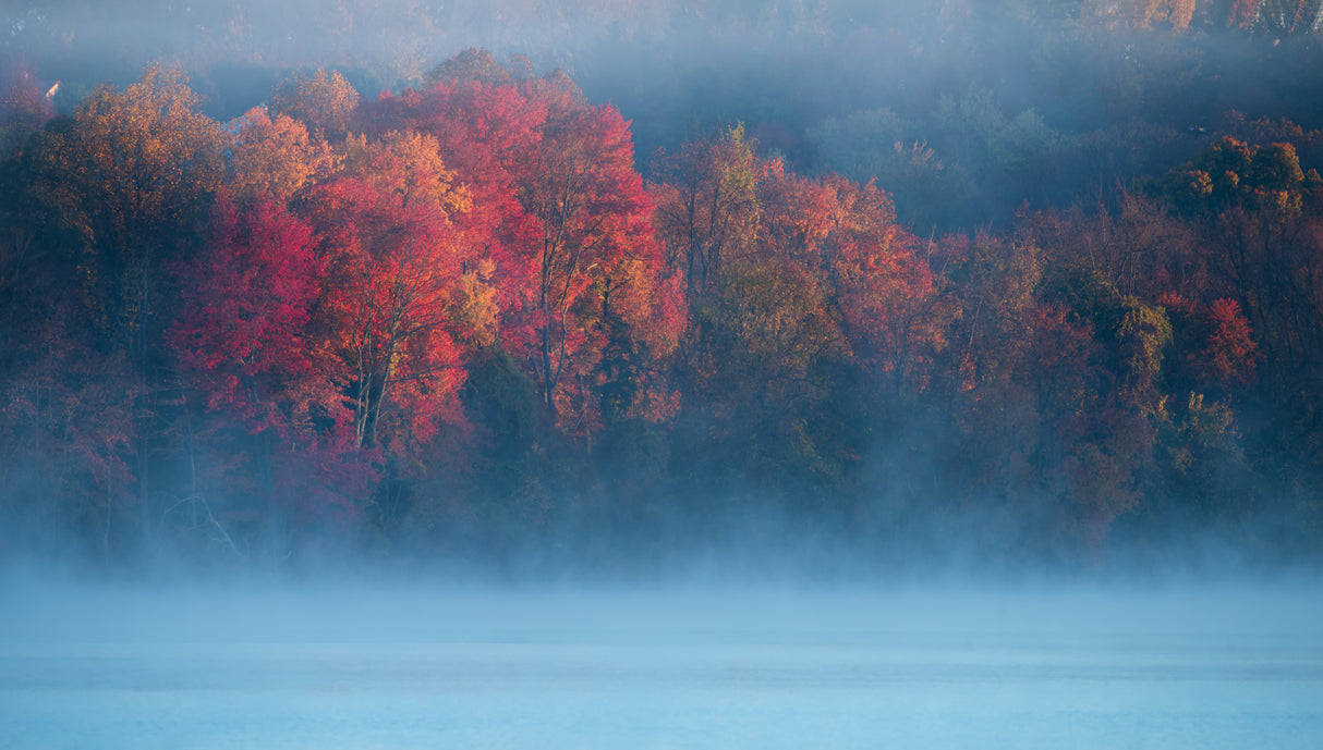 Fall Impression #4 Poster och Canvastavla