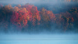 Fall Impression #4 Poster och Canvastavla