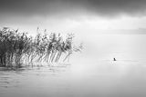 A Hazy Shade Of Winter Poster och Canvastavla