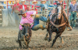 Steer Wrestling Poster och Canvastavla