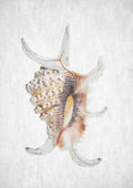 Spring Tide 03 Poster och Canvastavla