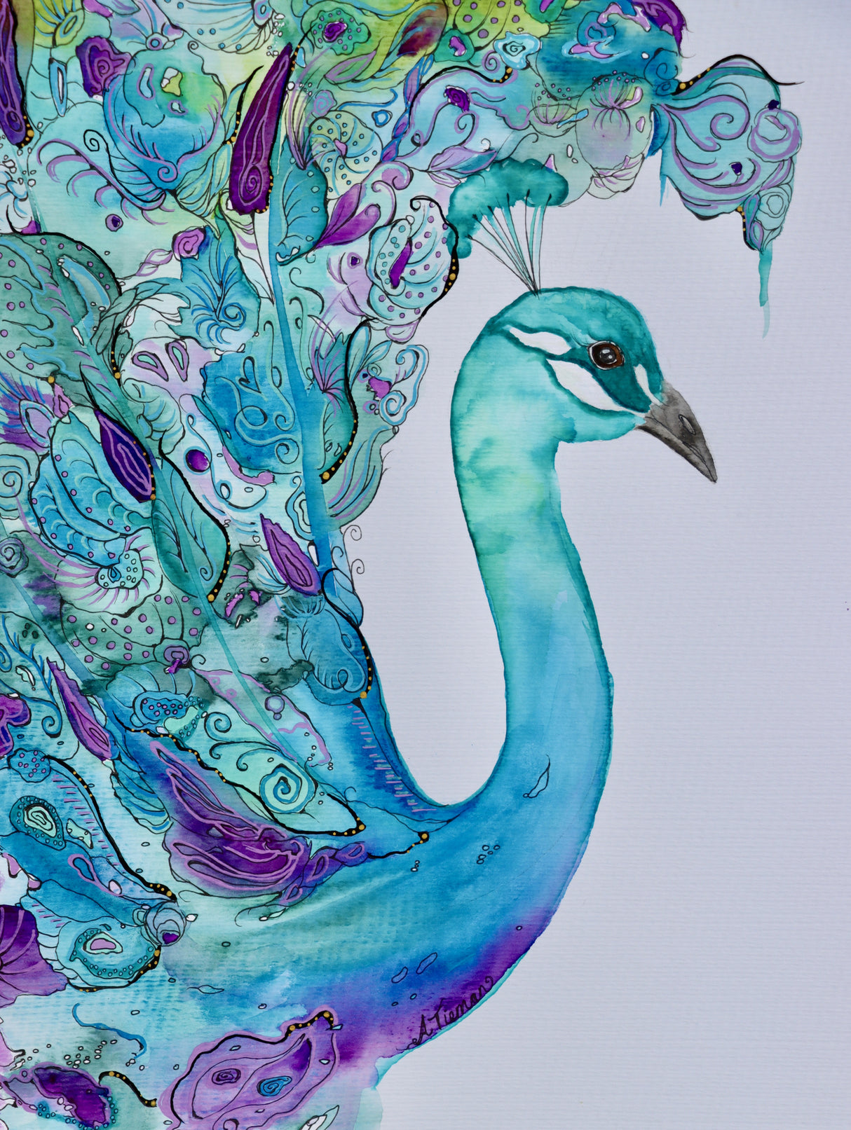 Emerald Peacock Poster och Canvastavla