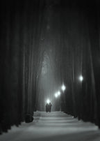 Mysterious forest Poster och Canvastavla
