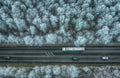 winter road Poster och Canvastavla
