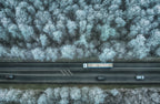 winter road Poster och Canvastavla