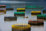 Fishing Life Poster och Canvastavla