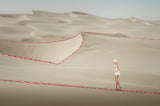 Follow the line Poster och Canvastavla