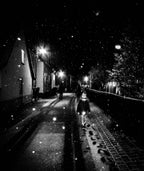 snow by night Poster och Canvastavla