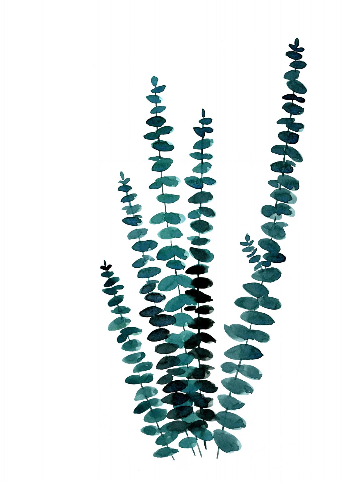 Teal watercolor eucalyptus I Poster och Canvastavla