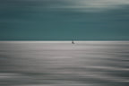 Going for the horizon Poster och Canvastavla