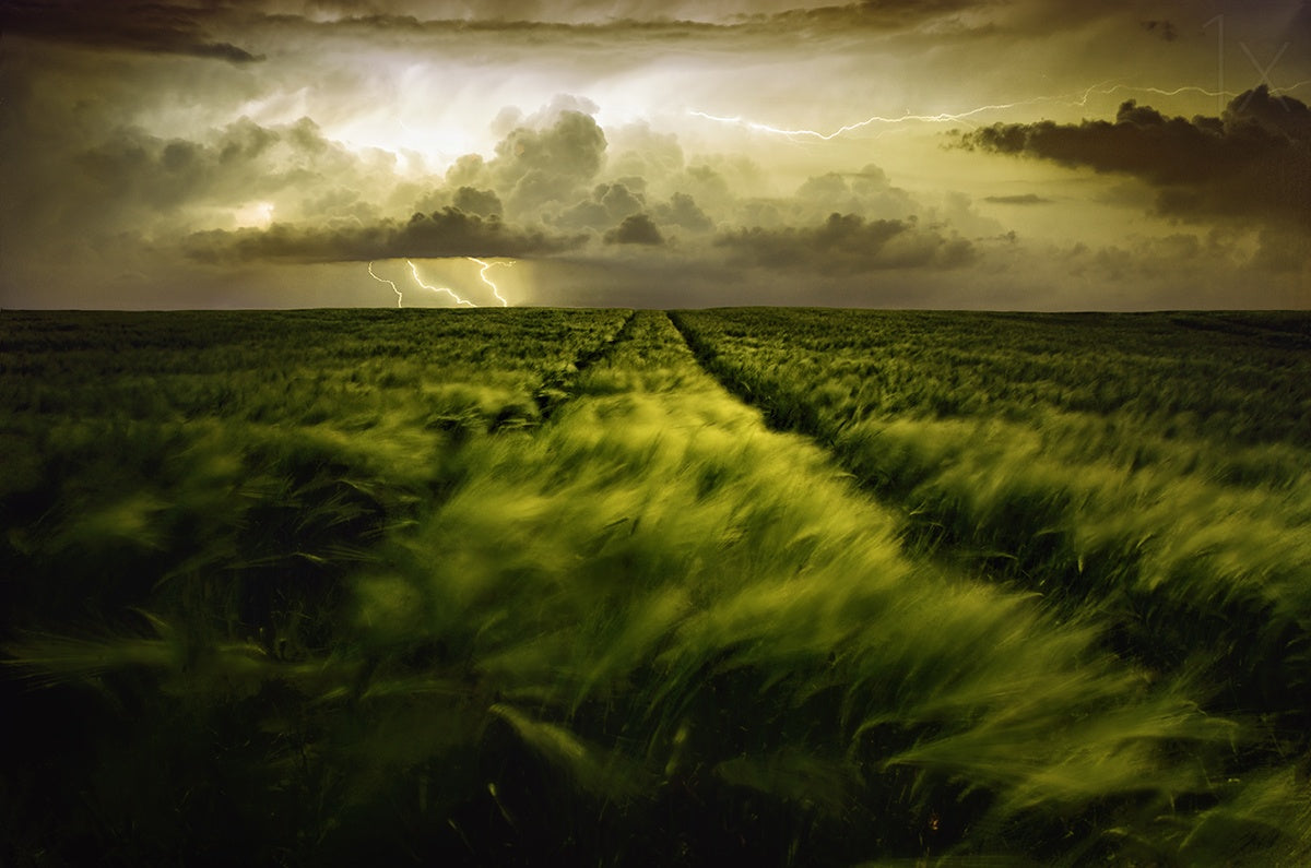 Journey to the Fierce Storm Poster och Canvastavla