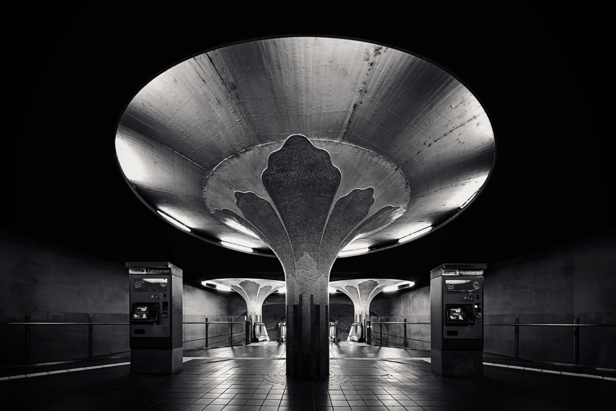 Subway Mushroom Poster och Canvastavla