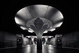 Subway Mushroom Poster och Canvastavla