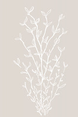 Garran branch in beige Poster och Canvastavla