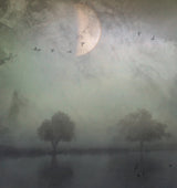 A Strange Day... Poster och Canvastavla