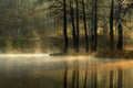 Silent light. Poster och Canvastavla