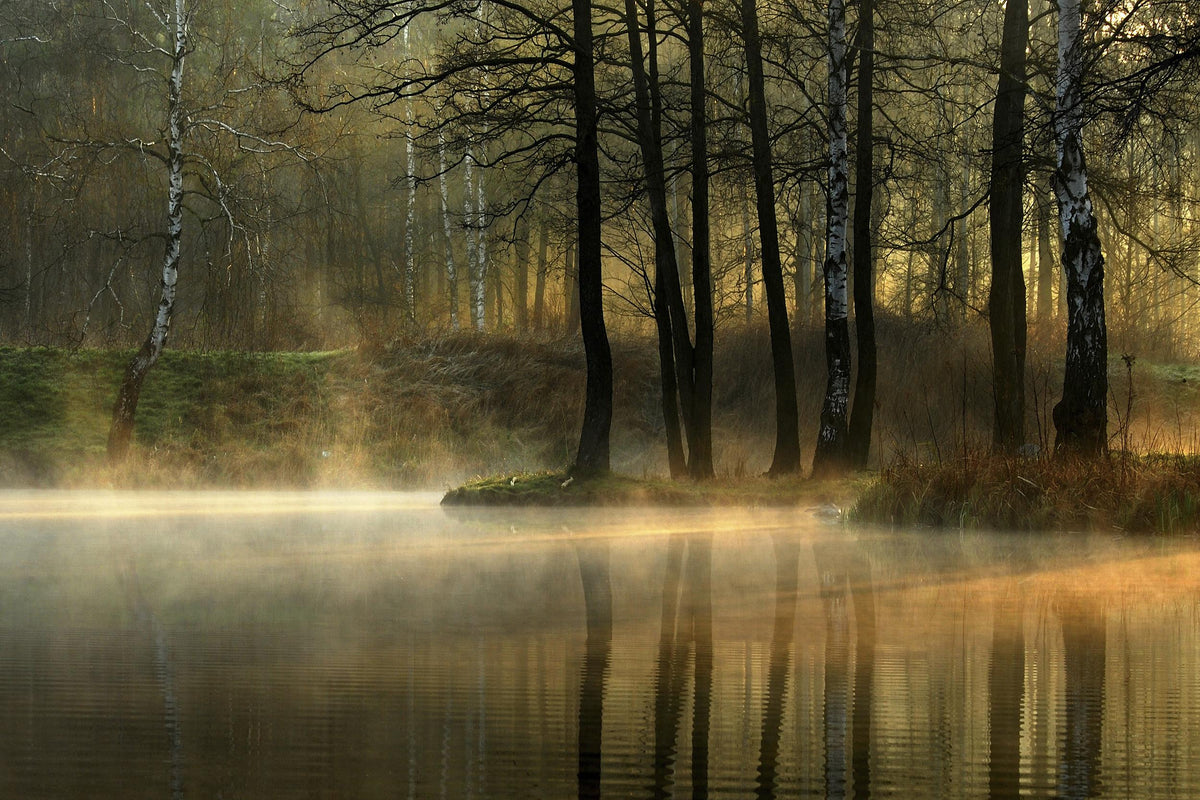Silent light. Poster och Canvastavla