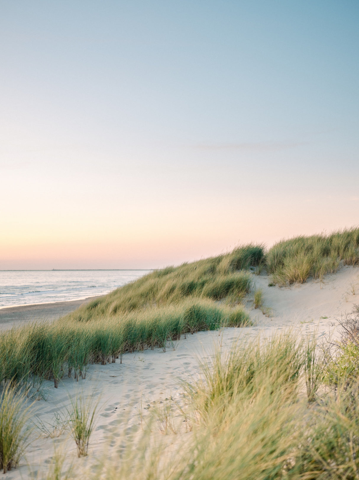Dutch Dunes Poster och Canvastavla