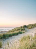 Dutch Dunes Poster och Canvastavla