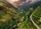 Between Rice Canyon Poster och Canvastavla