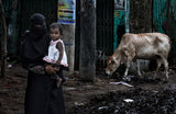 In the streets of Bangladesh Poster och Canvastavla