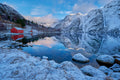 Lofoten Poster och Canvastavla