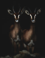 Siblings Poster och Canvastavla
