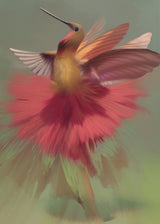 Ecstasy of Flight Poster och Canvastavla