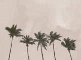 Windy Palm Trees Poster och Canvastavla