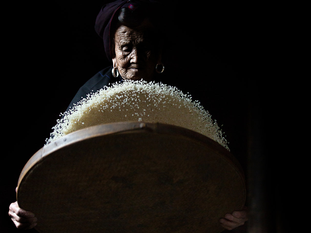 Rice story Poster och Canvastavla