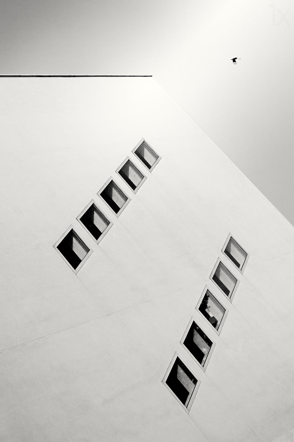 detail Poster och Canvastavla