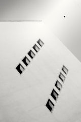 detail Poster och Canvastavla