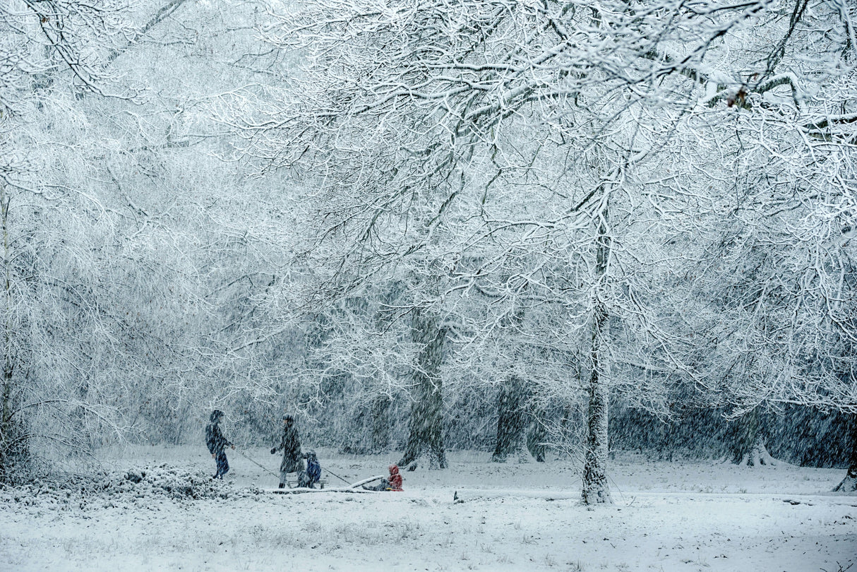Winter dream Poster och Canvastavla
