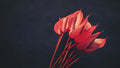 red flowers Poster och Canvastavla