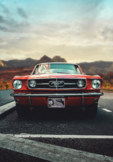 Mustang Love Poster och Canvastavla