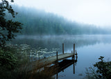 Moody morning Poster och Canvastavla