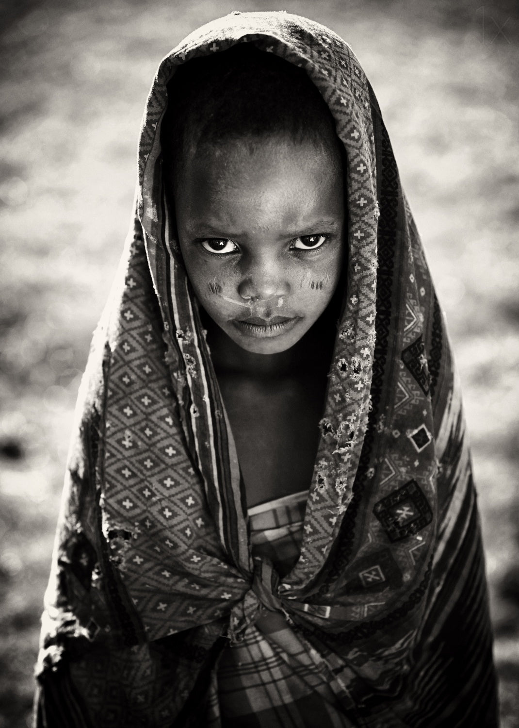 Face of Africa Poster och Canvastavla