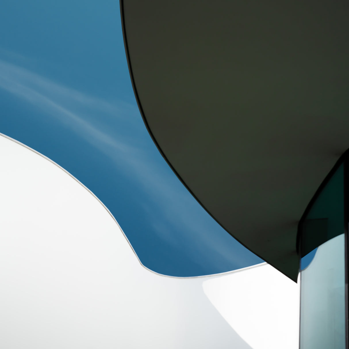 Curves Poster och Canvastavla