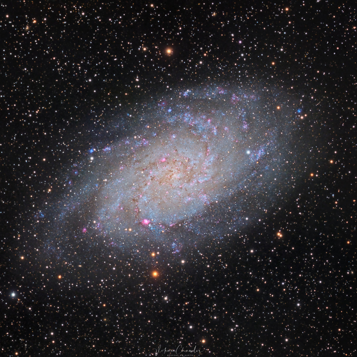 Triangulum Galaxy Poster och Canvastavla