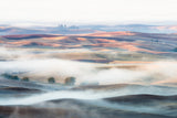 Misty Morning Poster och Canvastavla