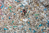 Life in garbage Poster och Canvastavla