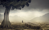 The Shepherd Poster och Canvastavla