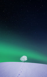 Apple Poster och Canvastavla